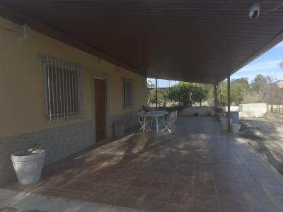 thumb-1